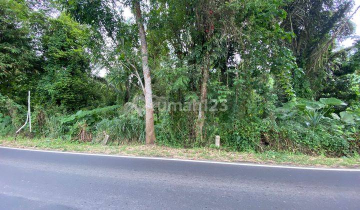 Tanah Depan Jalan By Pass Manado Bitung 1