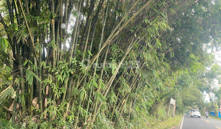 Tanah Depan Jalan By Pass Manado Bitung 2
