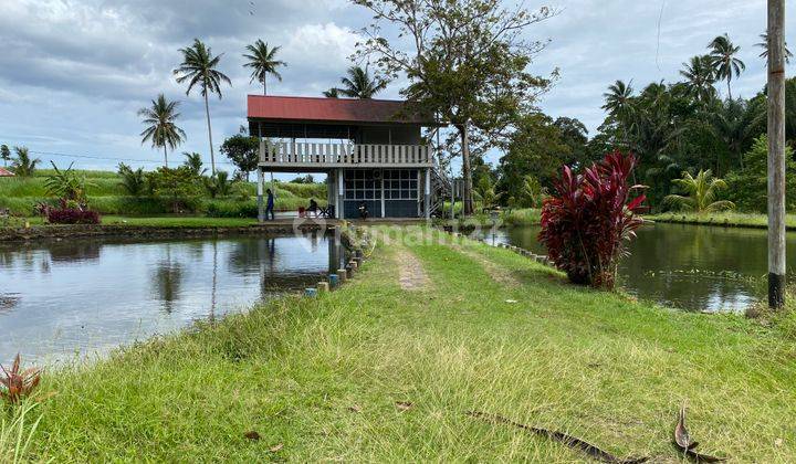 Tanah Kebun/Telaga Murah 1