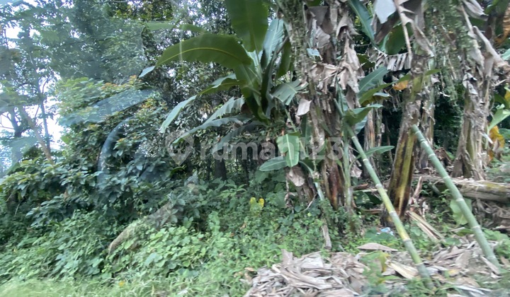 Tanah Dengan Lokasi Strategis Untuk gudang 2