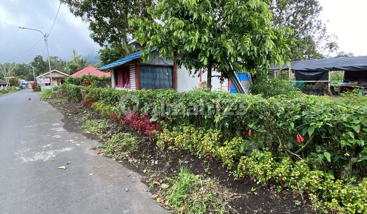 Tanah Dengan View Gunung Lokon 1