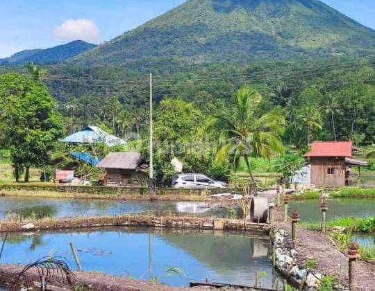 Tanah Dan Kolam Ikan Cocok Untuk Tempat Wisata 1