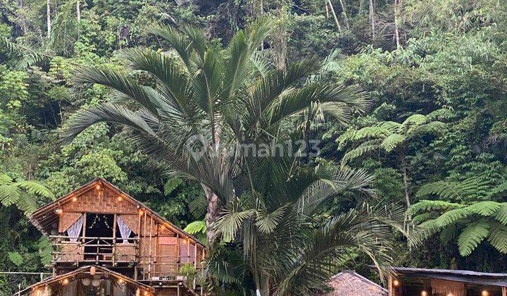 Tanah Dan Kolam Ikan Cocok Untuk Tempat Wisata 2