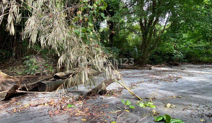 Tanah Pantai Berhadapan Dengan Pulau Bunaken 3