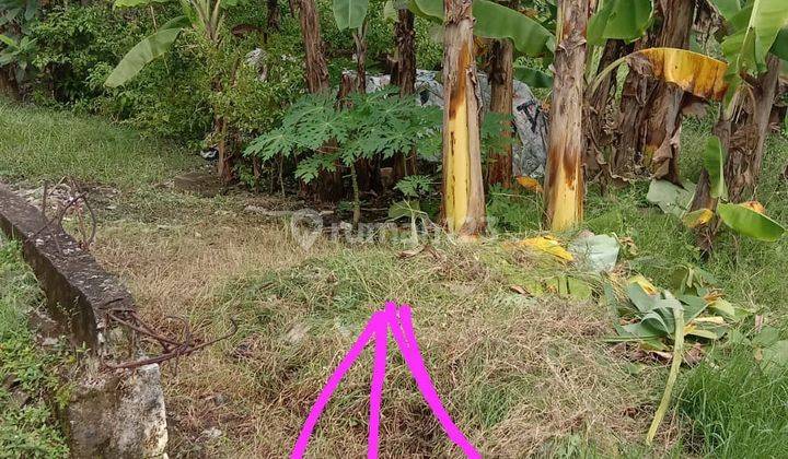 Tanah Murah Sukorejo Pasuruan 1