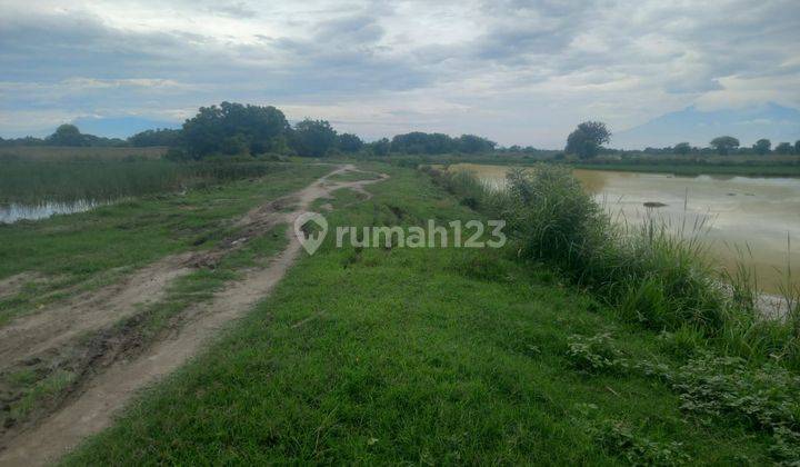 Tambak Aktif Damarsih Sedati Sidoarjo 2