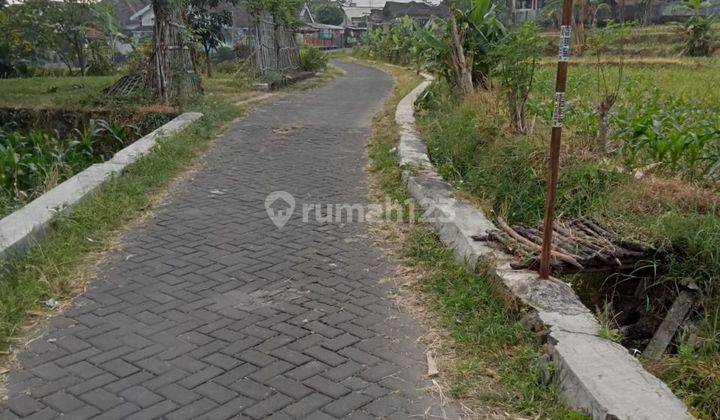 Tanah Murah Sukorejo Pasuruan 1
