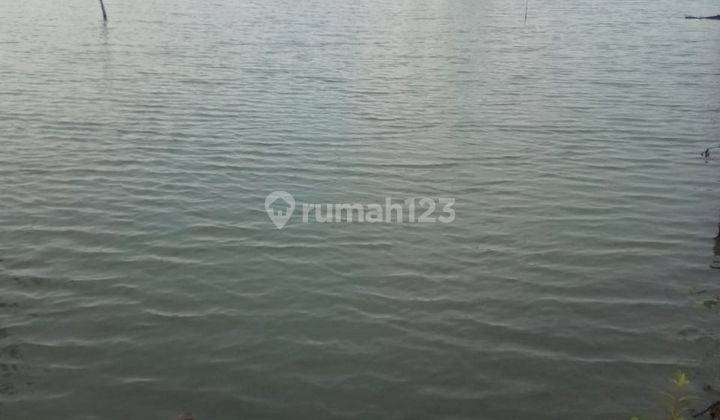 Tambak Garam 25 Ha Kalanganyar Sedati 1
