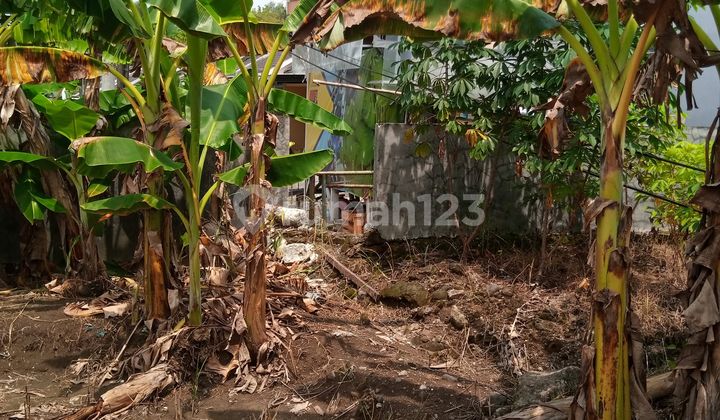 Tanah Dijual Rowosari di Tembalang SHM 310.0 M² 1