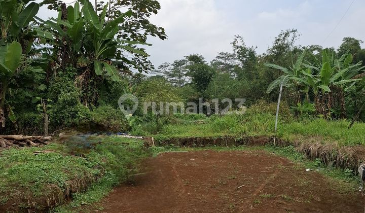 Tanah Kavling Harga Dibawah Njop Di Boja Shm 96.0 M²