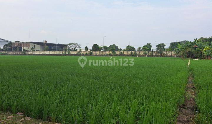 Tanah Bagus Luas 4000m2 Depan Lapangan Nguwer Duyungan Sragen 2