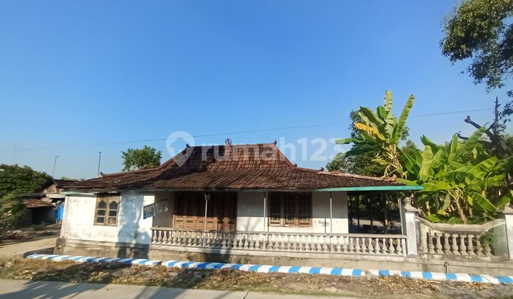Tanah Produktif Murah Pinggir Jalan Bonus Rumah Jawa