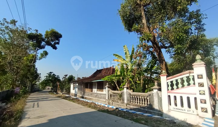 Tanah Bonus Rumah Jawa Murah di Jamabanan Sragen