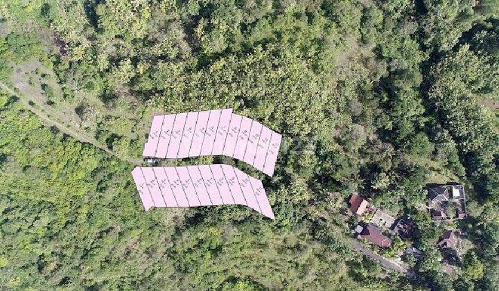 Tanah Siap Bangun Di Nusa Penida 3.3 Are 2