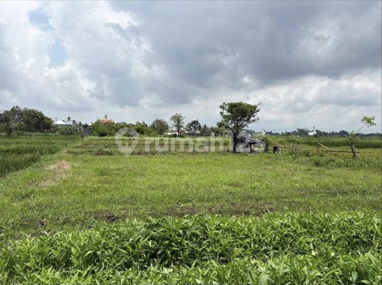 Strategic Plot by Main Road Dimengwi Bali Land in Mengwi 100.0 m²