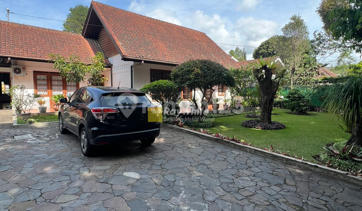 Strategic House suitable for Business in Ciumbuleuit Strategic House suitable for Business in Ciumbuleuit