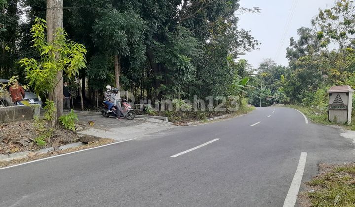 Premium Plot West Yogyakarta Easy Access Growing Environment Premium Plot West Yogyakarta Easy Access Growing Environment