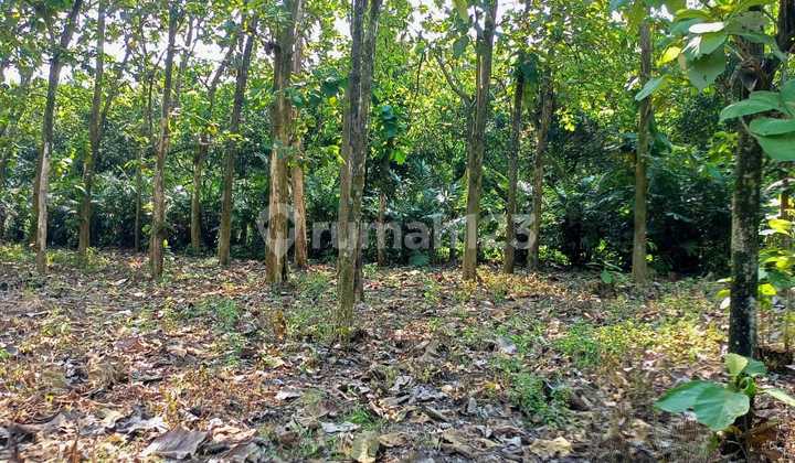 For Sale: Cheap strategic land plot, ideal for commercial housing and subsidized housing developments in Ciseeng, Parung, Bogor, West Java.