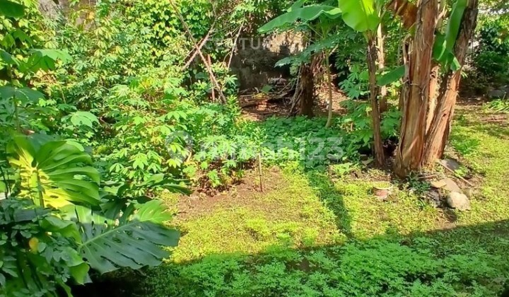 Dijual Kavling Murah Di Hook Dekat Ciputat Dekat MRT Lebak Bulus Jakarta Selatan