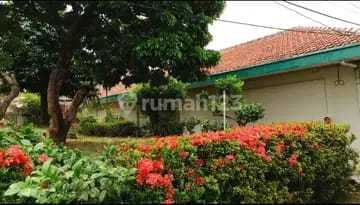 For Sale Cheap House Flood-Free Wide Road Clean and Lush in Pondok Pinang South Jakarta