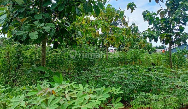 Dijual tanah kavling murah siap untuk di bangun perumahan di sawangan depok jawa barat 2