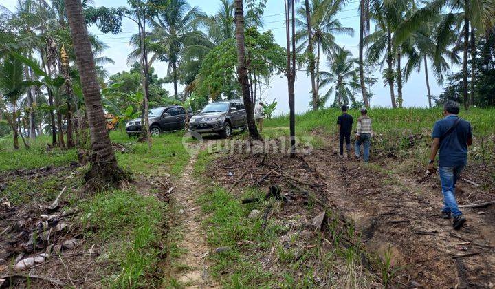 Tanah Komersil di Cigondang, Lokasi Cantik Harga Menarik 1