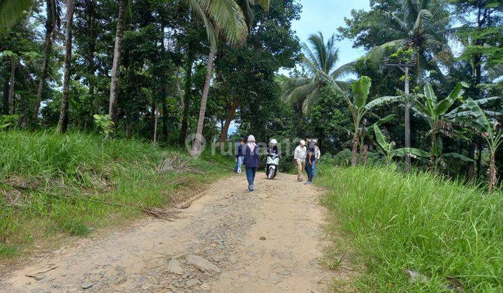 Tanah Komersil di Cigondang, Lokasi Cantik Harga Menarik 2