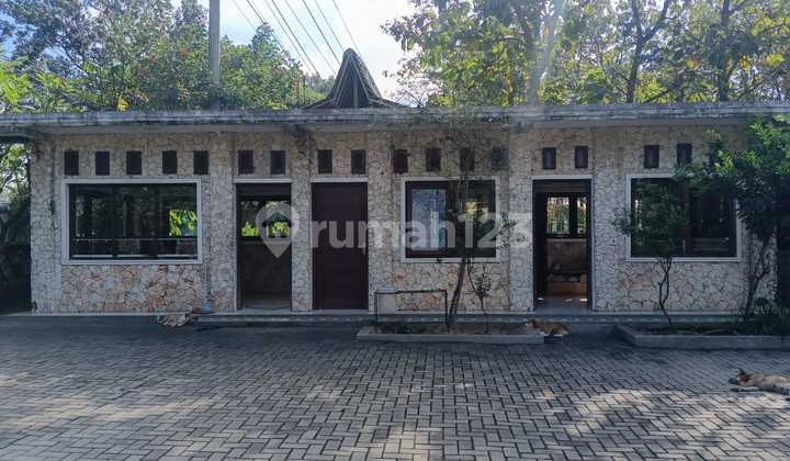 Land Area 40869 m² in Adirejo Village, Blora