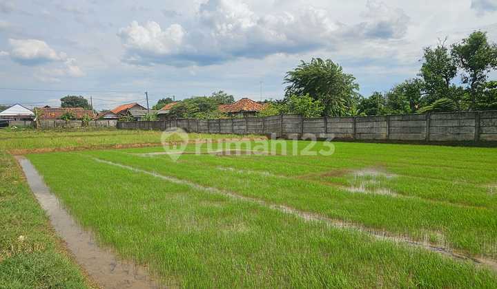 50 Hectare Industrial Land in Subang 50 Hectare Industrial Land in Subang