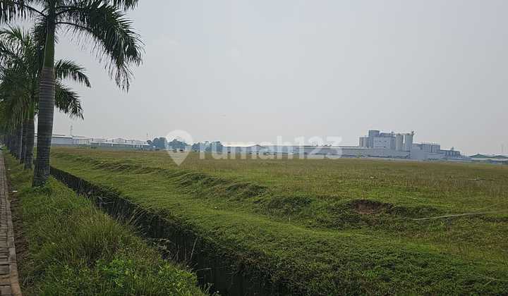 Avocado, Dragon Fruit Garden Land, etc. For Sale at a Low Price, Area Approximately 60 Hectares. Avocado, Dragon Fruit Garden Land, etc. For Sale at a Low Price, Area Approximately 60 Hectares.