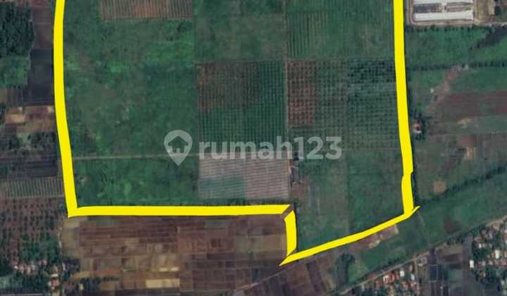 Avocado, Dragon Fruit Garden Land, etc. For Sale at a Low Price, Area Approximately 60 Hectares. Avocado, Dragon Fruit Garden Land, etc. For Sale at a Low Price, Area Approximately 60 Hectares.