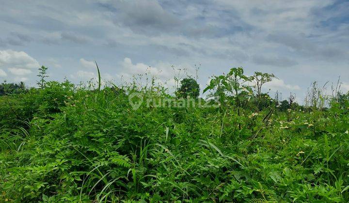 Tanah Industri di Cikande, SHM Ada 23 Bidang Luas 32 Hektar 2