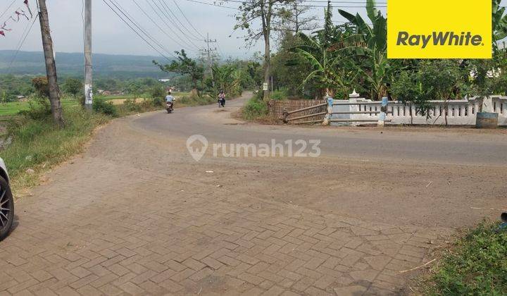 Dijual Tanah Strategis Nol Jalan di Purwodadi Pasuruan 1