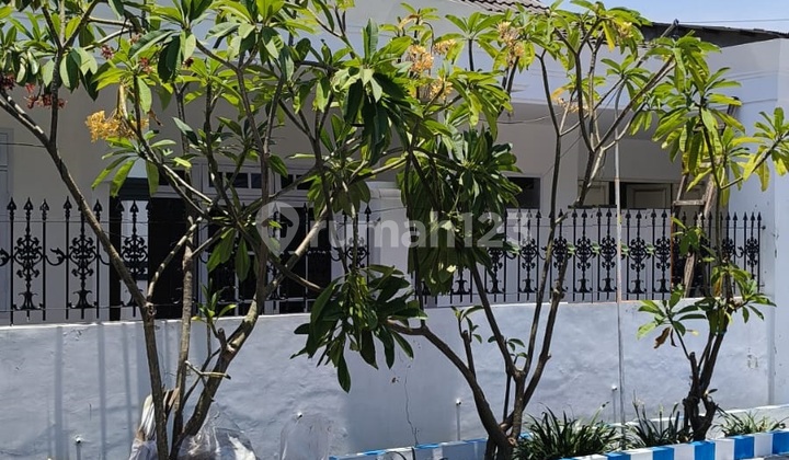 Dijual Rumah SHM Strategis di Jalan Aster Kediri Dijual Rumah SHM Strategis di Jalan Aster Kediri