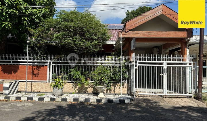 Disewakan Rumah di Darmo Baru, Surabaya Disewakan Rumah di Darmo Baru, Surabaya