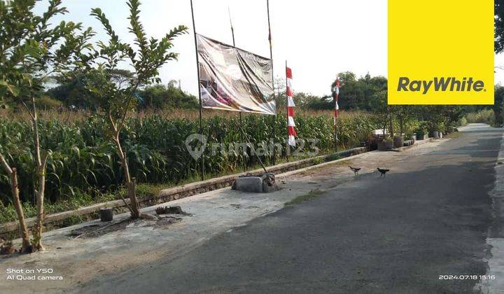 Dijual Tanah SHM di Dusun Urung Urung Sidodadi Puri Mojokerto 1