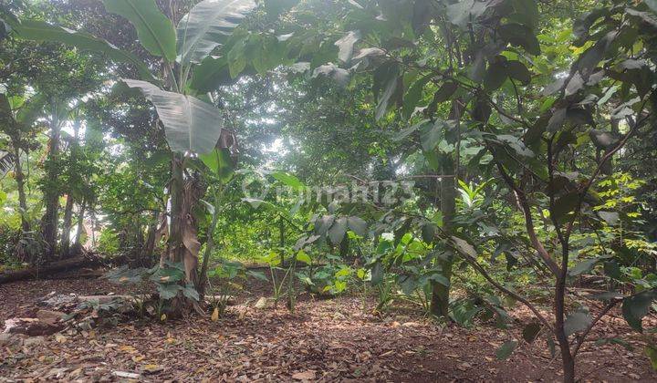 Tanah Harga Murah Lokasi Strategis Di Jagakarsa 2