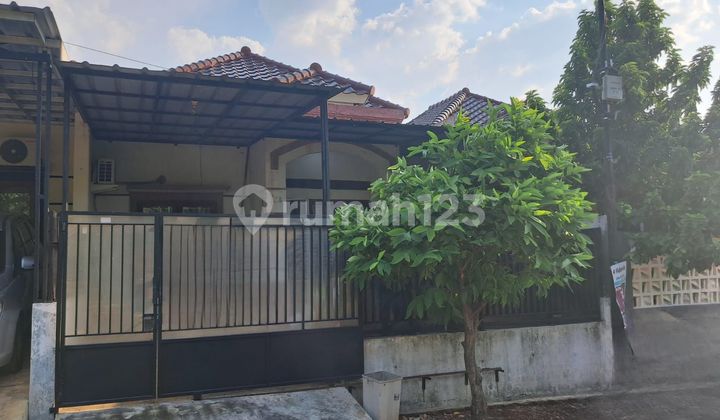 Rumah 1 Lantai, LT. 98 di Tanah Baru, Turun Harga 2