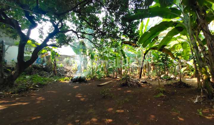 Tanah Ngantong, Harga Njop,Lokasi Area Lebak Bulus, Jaksel Tanah Ngantong, Harga Njop,Lokasi Area Lebak Bulus, Jaksel