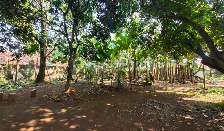 Land Ngantong (1,516 sqm) Cheapest in Lebak Bulus, South Jakarta Land Ngantong (1,516 sqm) Cheapest in Lebak Bulus, South Jakarta