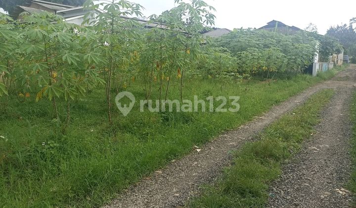 Lahan Kosong di Pinggir Jalan Cibedug, Bogor, Cocok untuk Fila