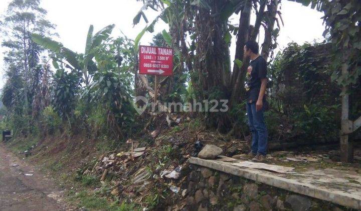 Tanah Murah, BU, Sertifikat Hak Milik, sebelah Perumnas Cilaku, Cianjur 2