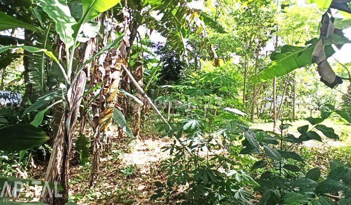 Kavling Tanah Jual Cepat Citra Green Dago  3