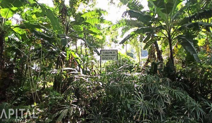 Kavling Tanah Jual Cepat Citra Green Dago  6