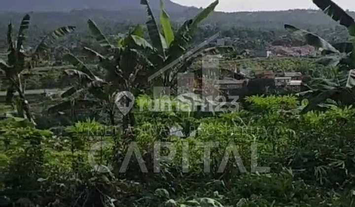 Tanah Luas Murah Cocok Untuk Cluster Town House Perumahan Dan Lainnya di Padalrang Bandung