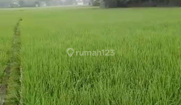 Jual Tanah Mekarsari Desa Mekarsari Bandung 8