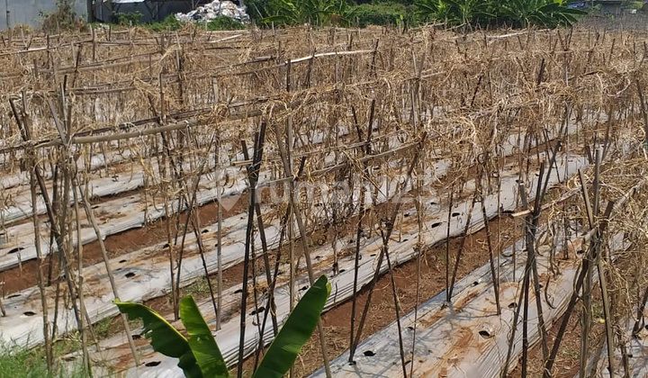  Bangunan Gudang 1500 m² Dan Lahan 5 Ha Batujajar Main Road  11