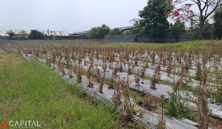  Bangunan Gudang 1500 m² Dan Lahan 5 Ha Batujajar Main Road  13