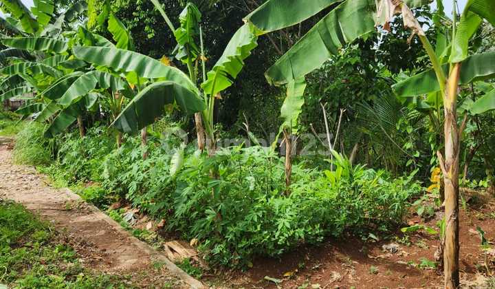 Tanah Siap Bangun Parigi Pondok Aren Bintaro