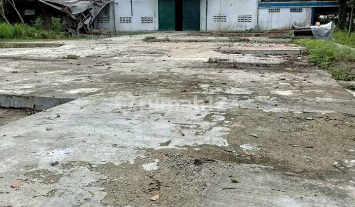 Dijual Ex Pabrik Kayu di Jalan Raya Cikande Rangkasbitung Dijual Ex Pabrik Kayu di Jalan Raya Cikande Rangkasbitung